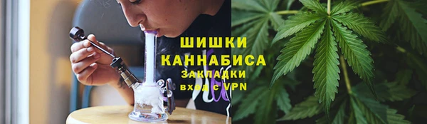 PSILOCYBIN Вязьма